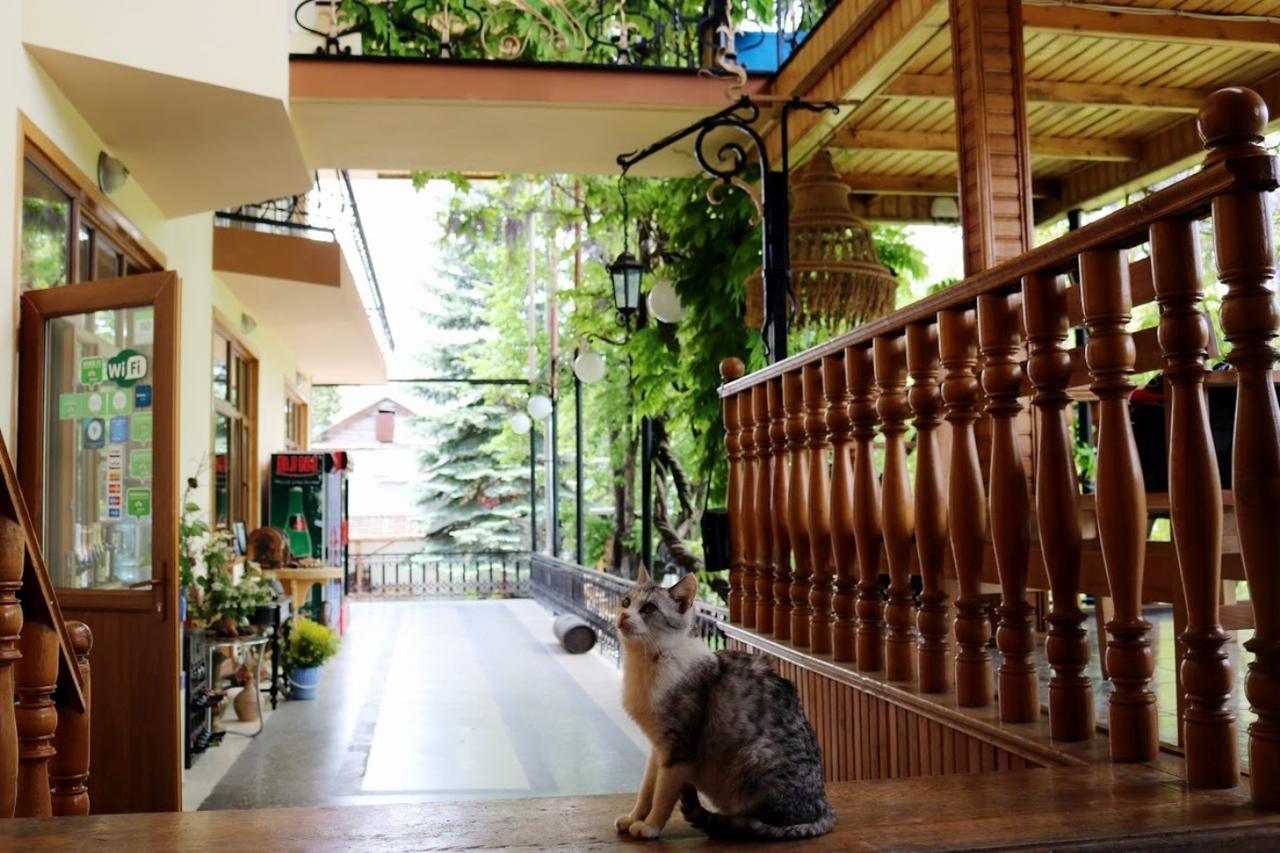 Casanova - Boutique Dilijan