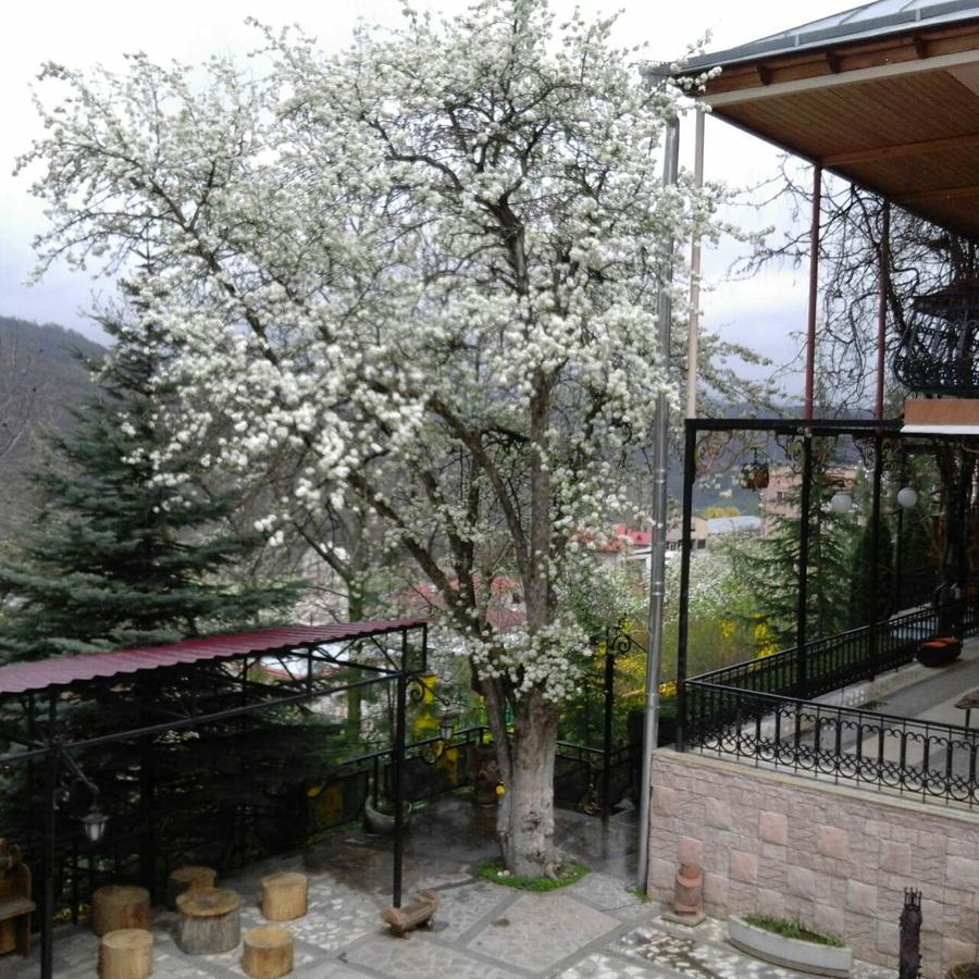 Hotel Casanova - Boutique Dilidjan